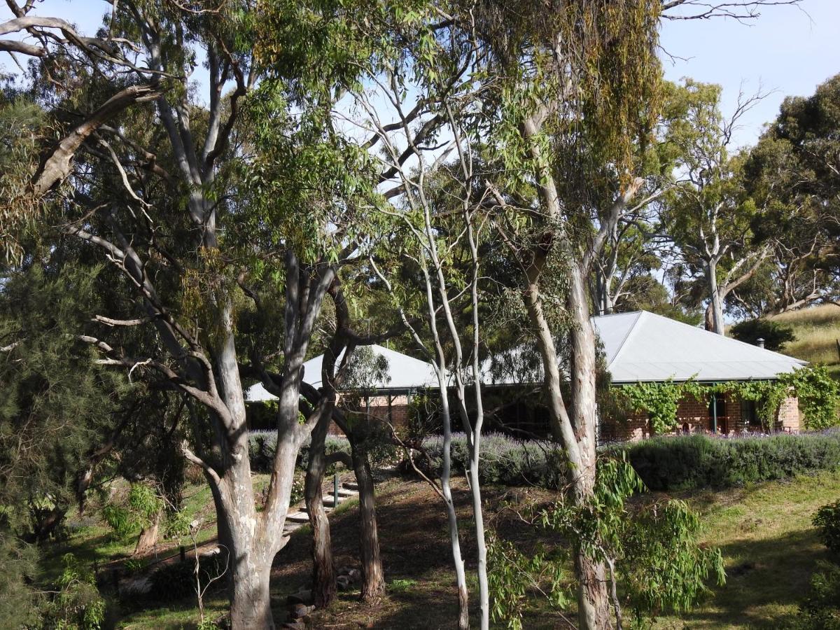 Battunga Cottages Watervale Luaran gambar