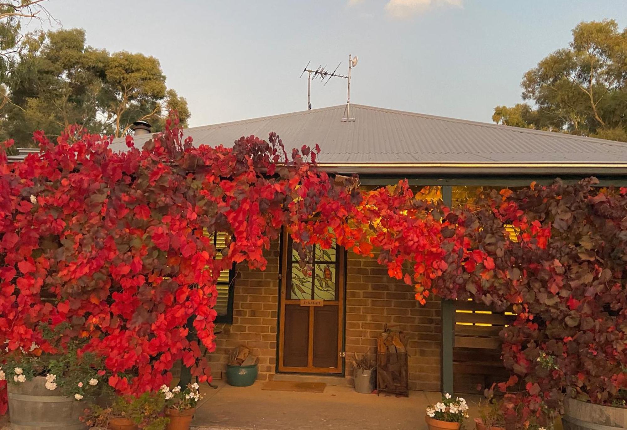 Battunga Cottages Watervale Luaran gambar