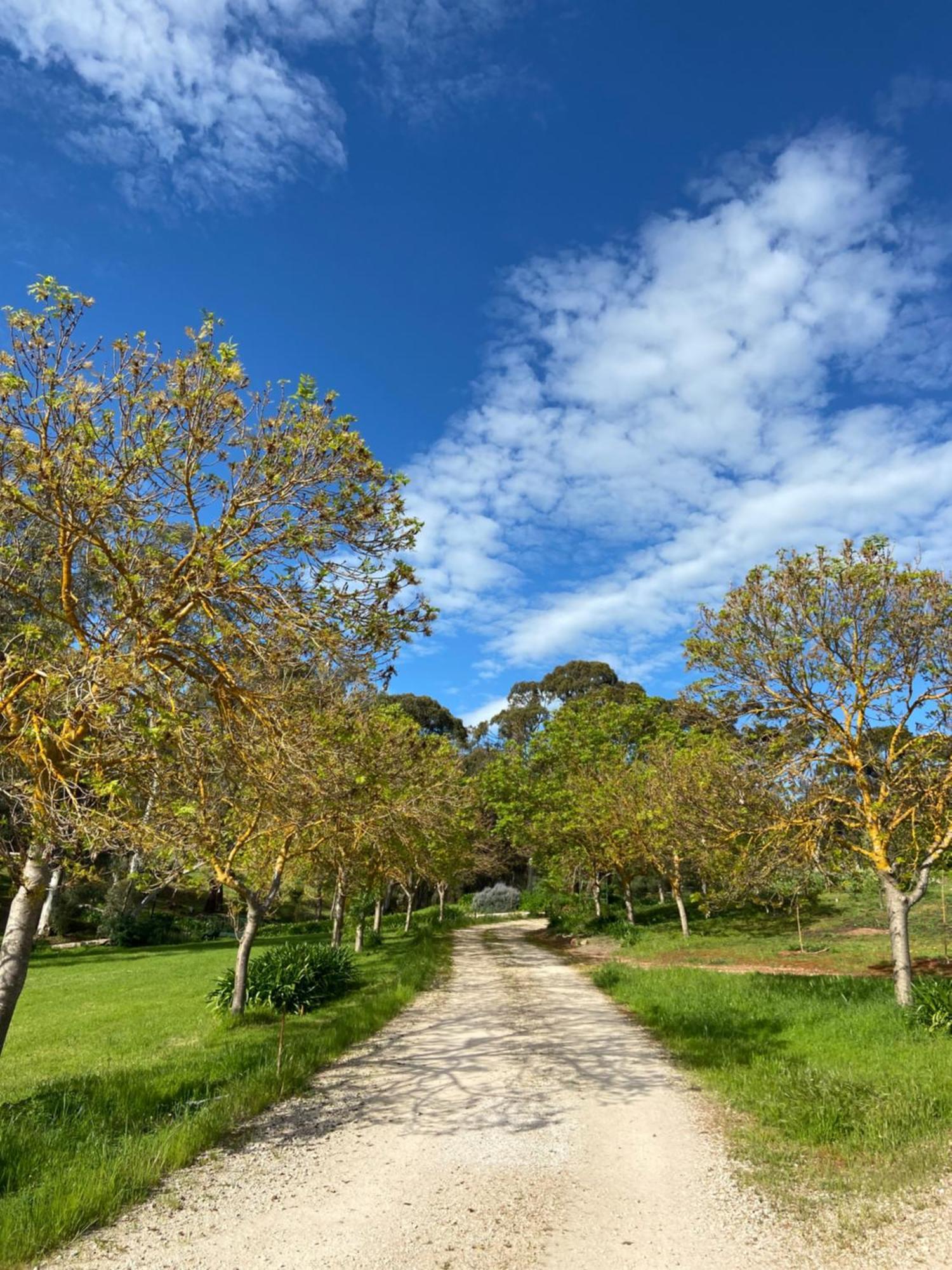 Battunga Cottages Watervale Luaran gambar